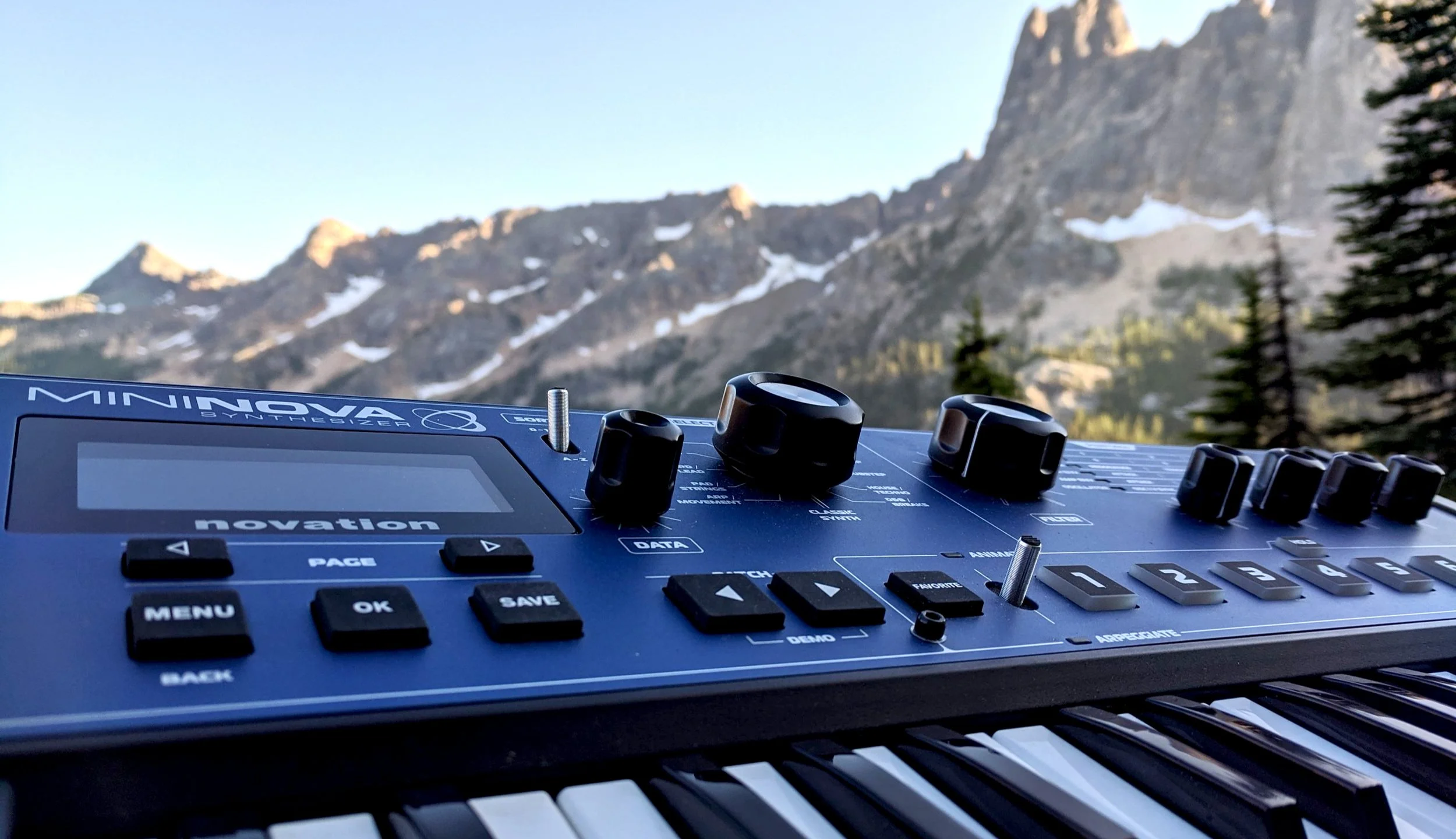 NOVATION MININOVA #新品同様 NOVATION MININOVA #新品同様 MiniNova | Novation